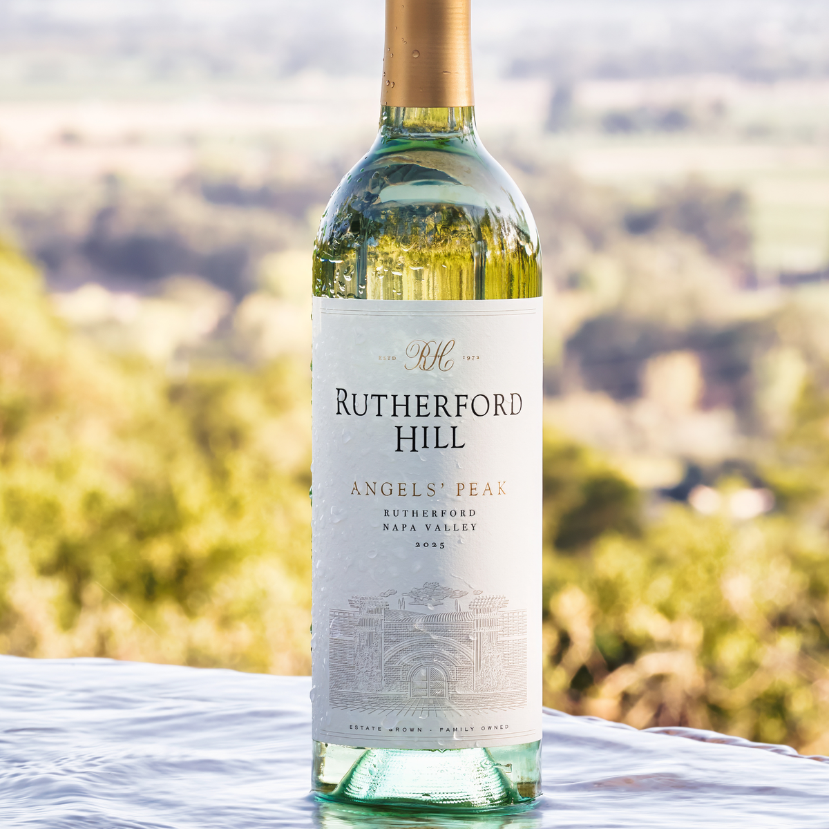 2025 Angels' Peak White Blend
